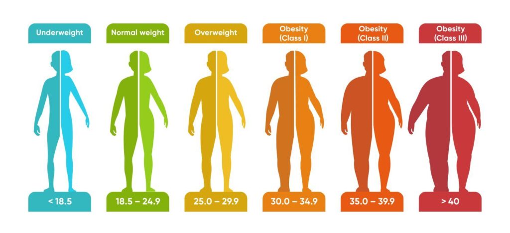 BMI Calculator