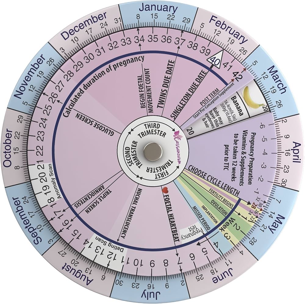 pregnancy due date calculator