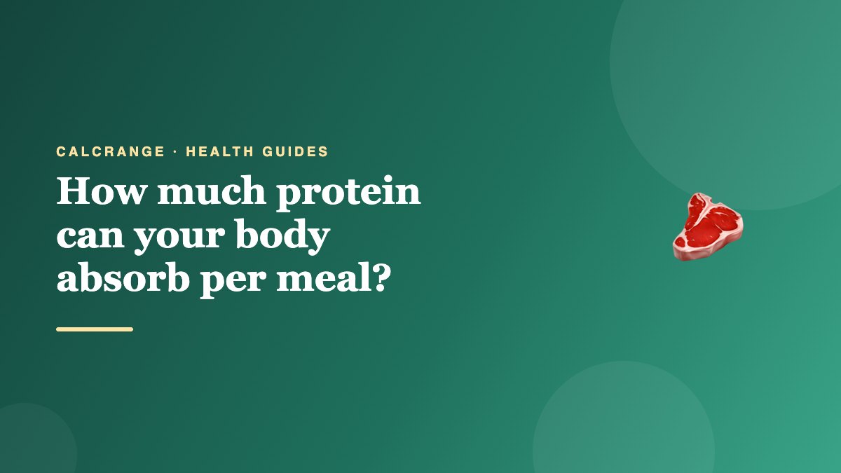 How much protein can your body absorb per meal?