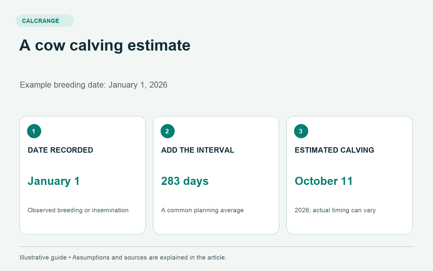 Cow gestation calculation showing January 1, 2026 plus 283 days equals an estimated October 11 calving date.